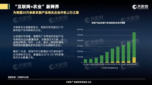 互联网销售助推农业转型，粤闽农副产品电商企业突破4万家占全国近两成